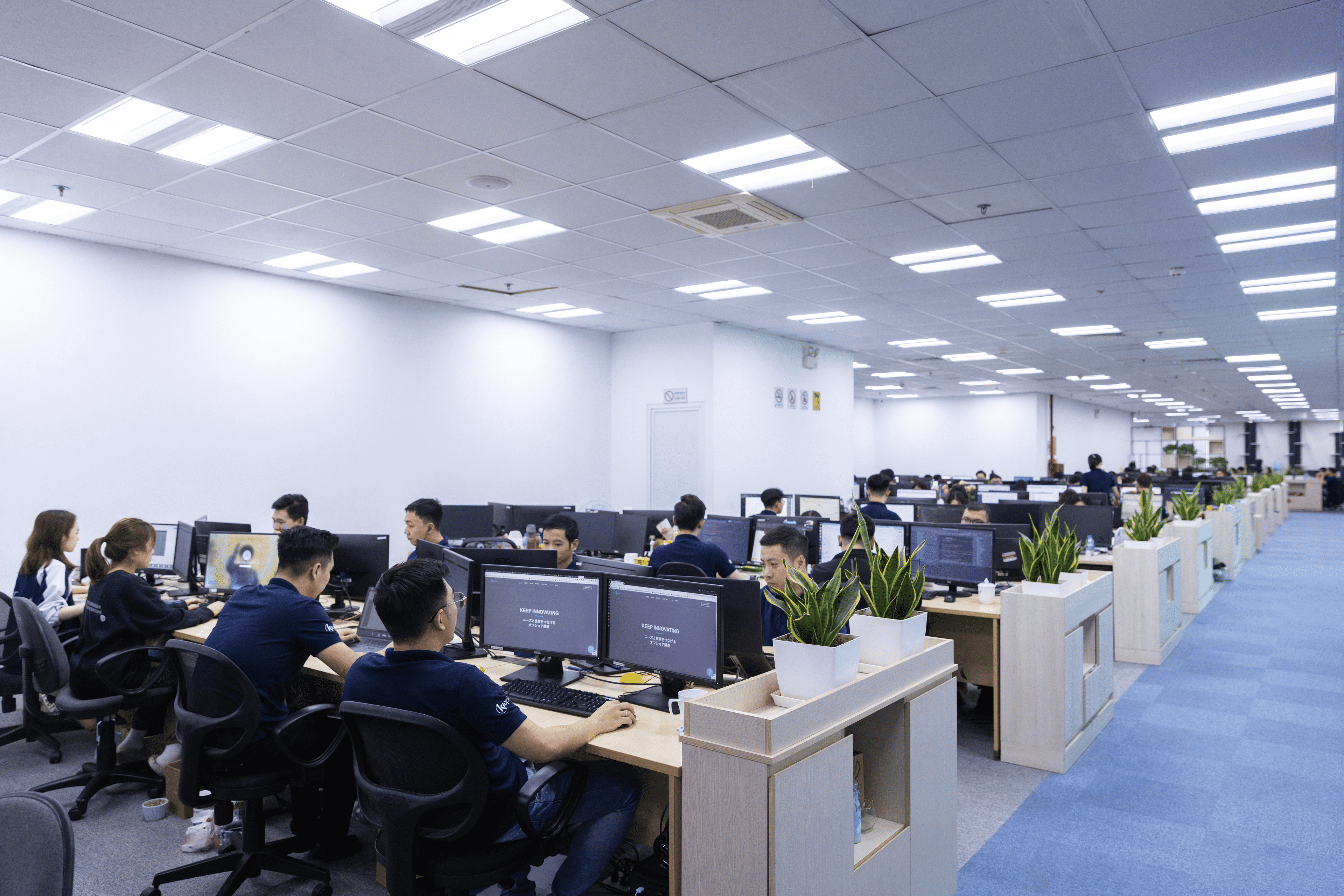 Web Development Team