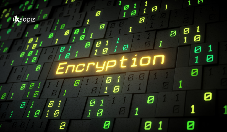 Encryption Protocols (in Transit & at Rest)