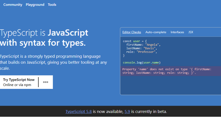 Popular Web Application Language: TypeScript
