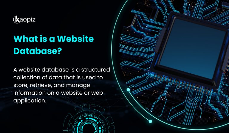 What is a Website Database?