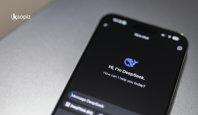What Is DeepSeek AI Application