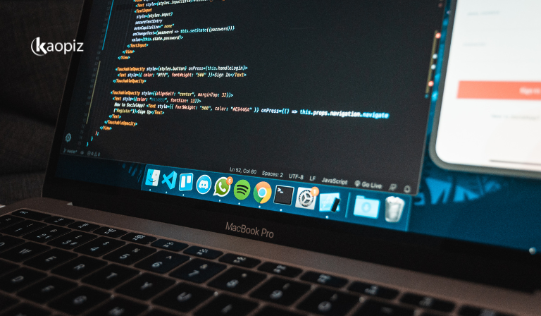 What Is Nearshore Software Development?