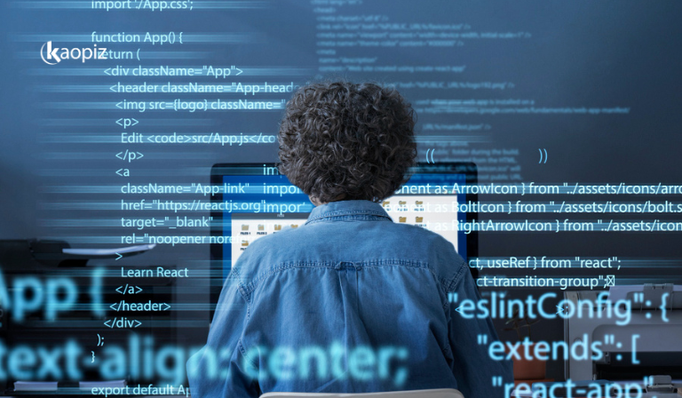 Java developer vs software developer: Technical Skills vs Engineering Mindset